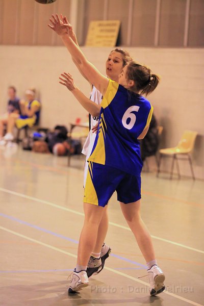 BCA036.jpg