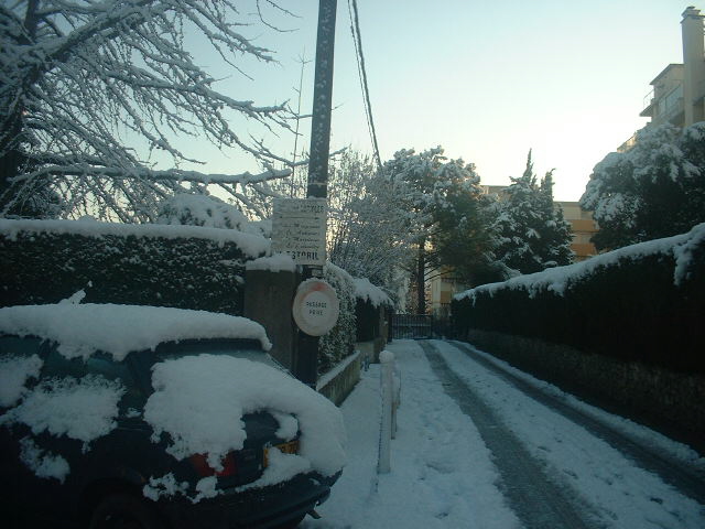 DSCF0012.JPG