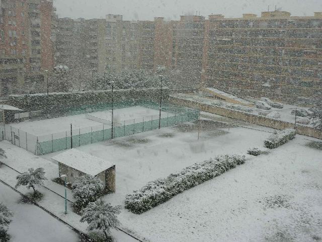 P1000746.JPG