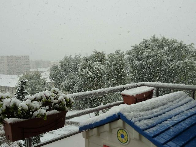 P1000750.JPG