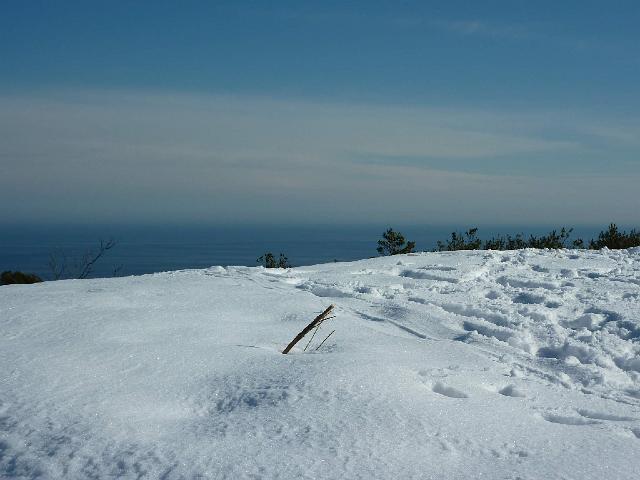 P1000785.JPG