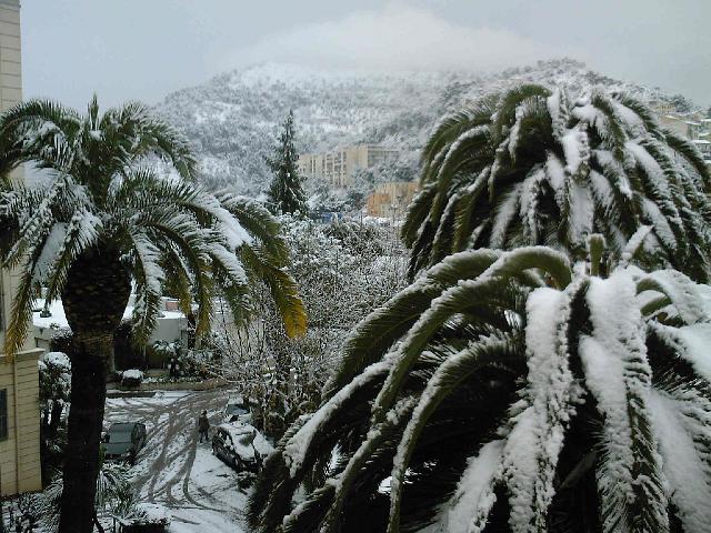 SP_A0155.JPG