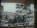 DSCF0004