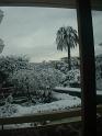 DSCF0009