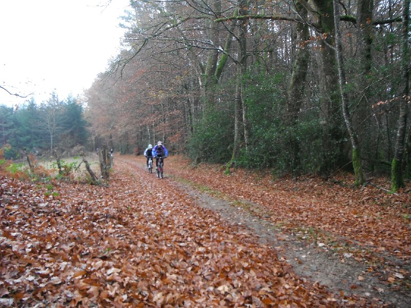 DSCF0212.JPG