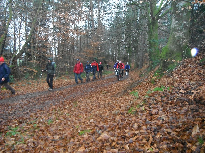 DSCF0237.JPG
