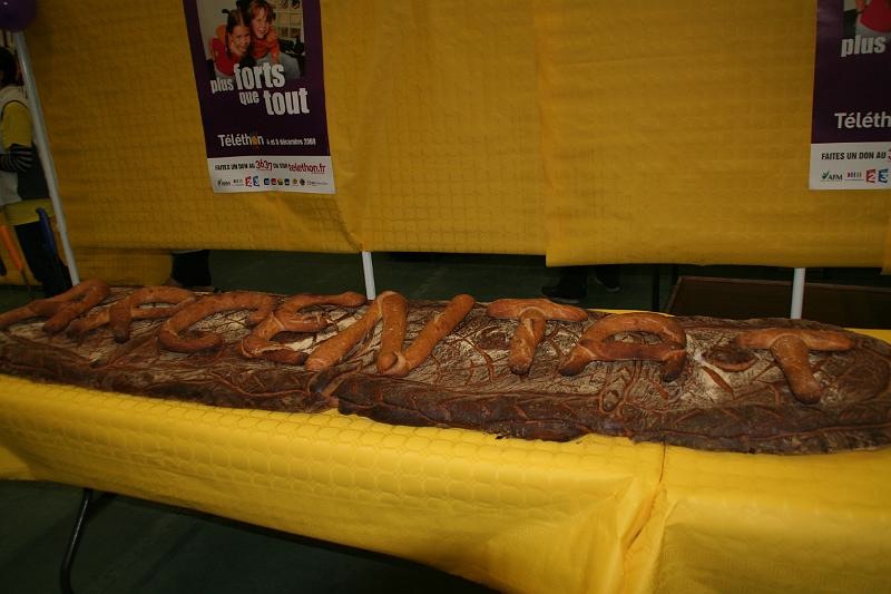 Telethon2009069.jpg