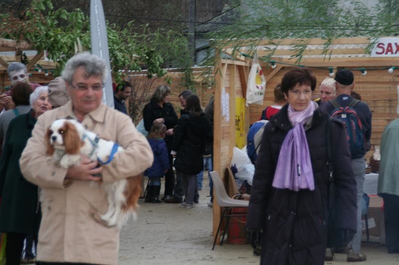 Telethon2009101.jpg