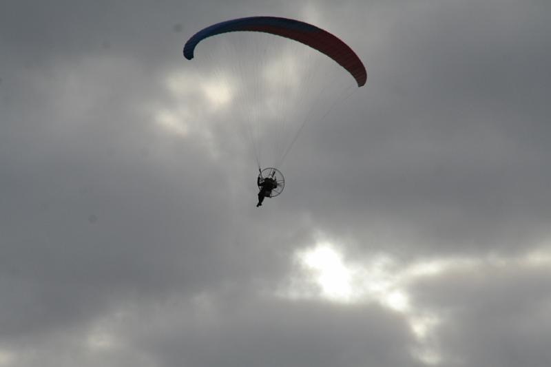 Telethon2009156.jpg
