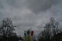 Telethon2009149